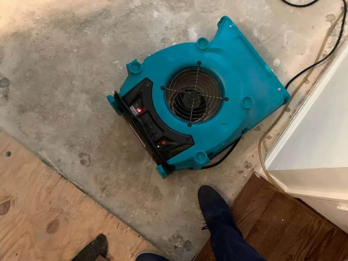 Air mover drying subfloor during Commercial Water Damage Restoration in Elko New Market