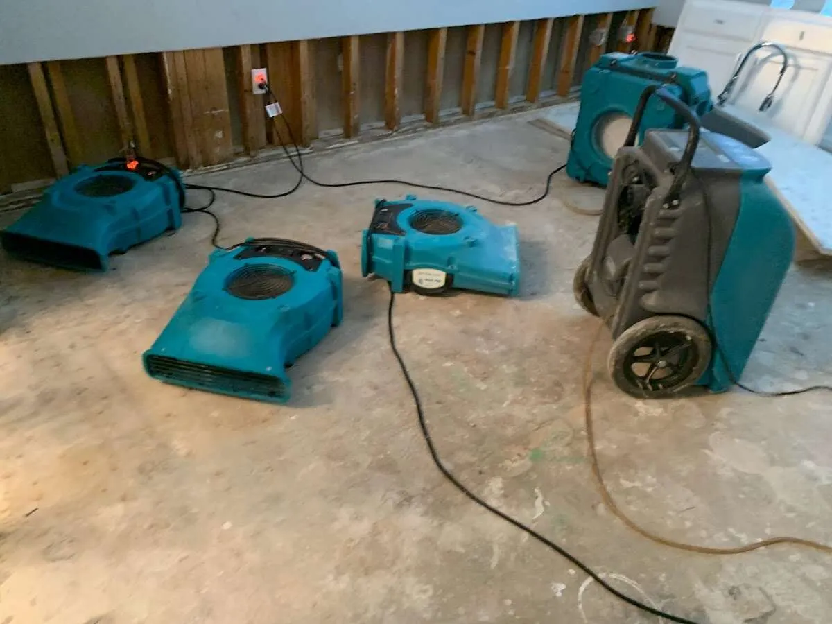 Water Damage Restoration services in Elko New Market, MN